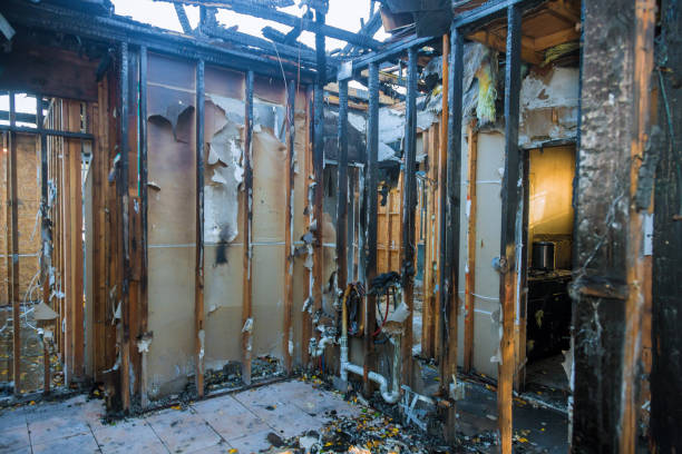 Professional Fire Damage Removal technician working in Brownsboro, TX